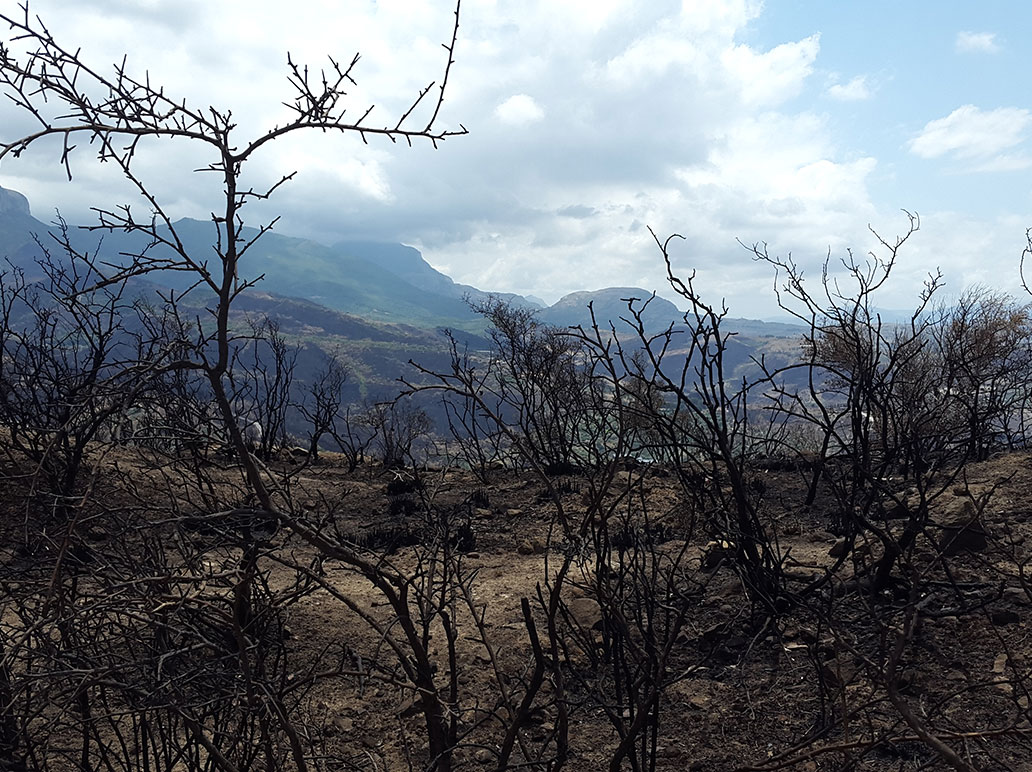 ETNA, SEGUENDO IL FUOCO